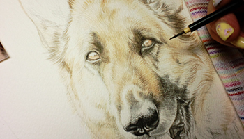 愛犬・愛猫の肖像画を