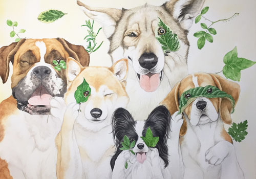 『葉っぱのめがねでのぞいてみれば』