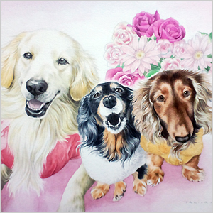 肖像画：3頭書き(姫ちゃん、ランちゃん、空くん)