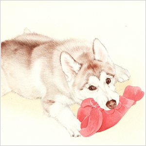 肖像画：シベリアンハスキー(メルちゃん)